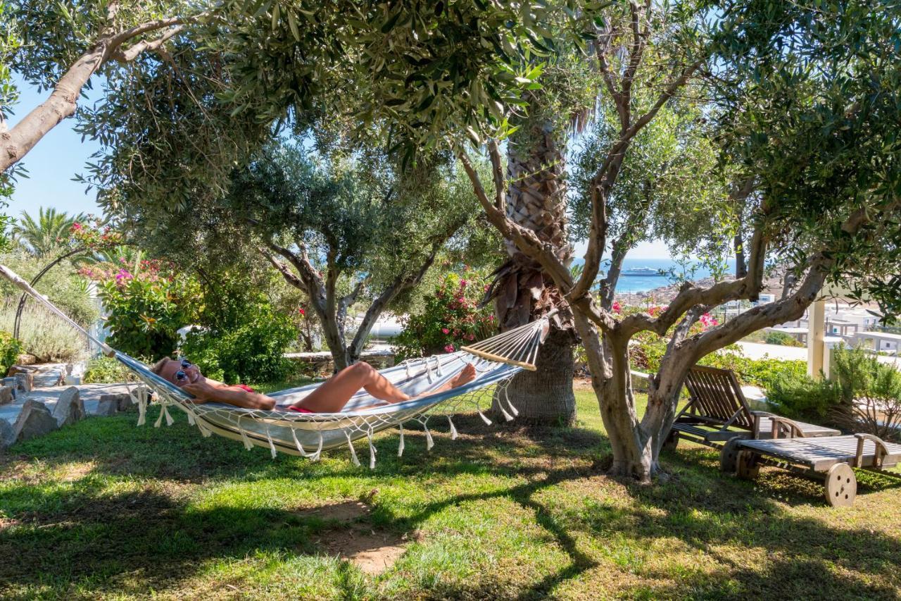 Kavos Hotel Naxos 斯泰里达 外观 照片
