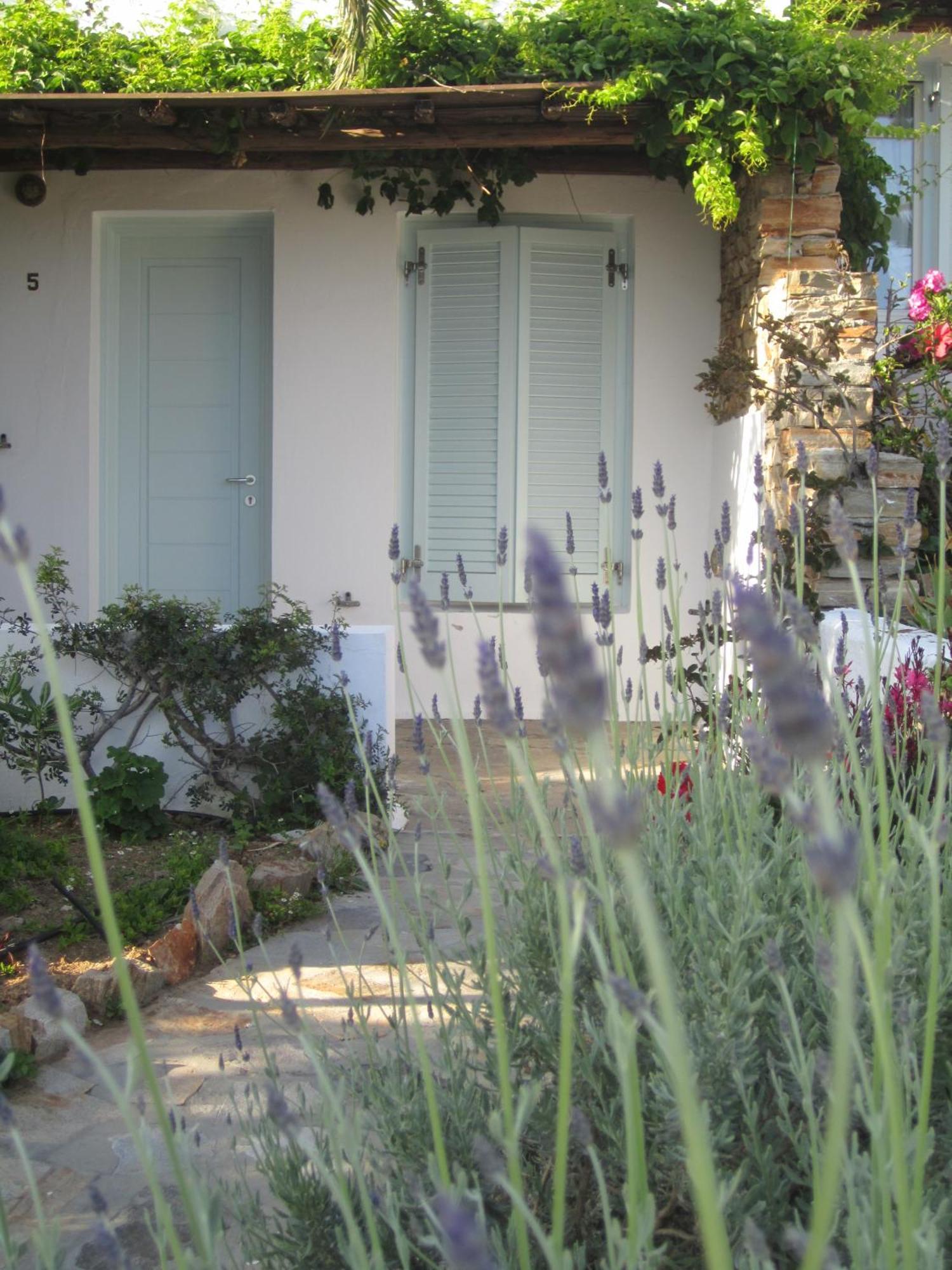 Kavos Hotel Naxos 斯泰里达 外观 照片